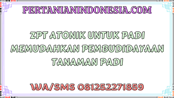 ZPT Atonik Untuk Padi Memudahkan Pembudidayaan Tanaman Padi